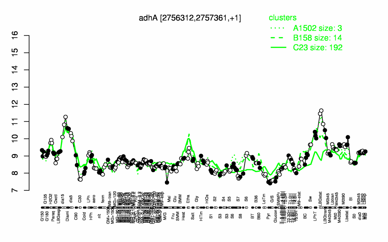 Graph of expression data for this gene.