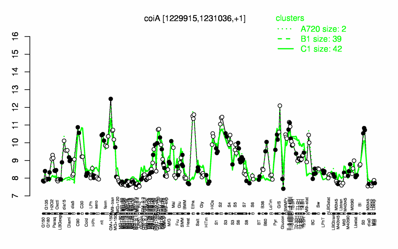 Graph of expression data for this gene.