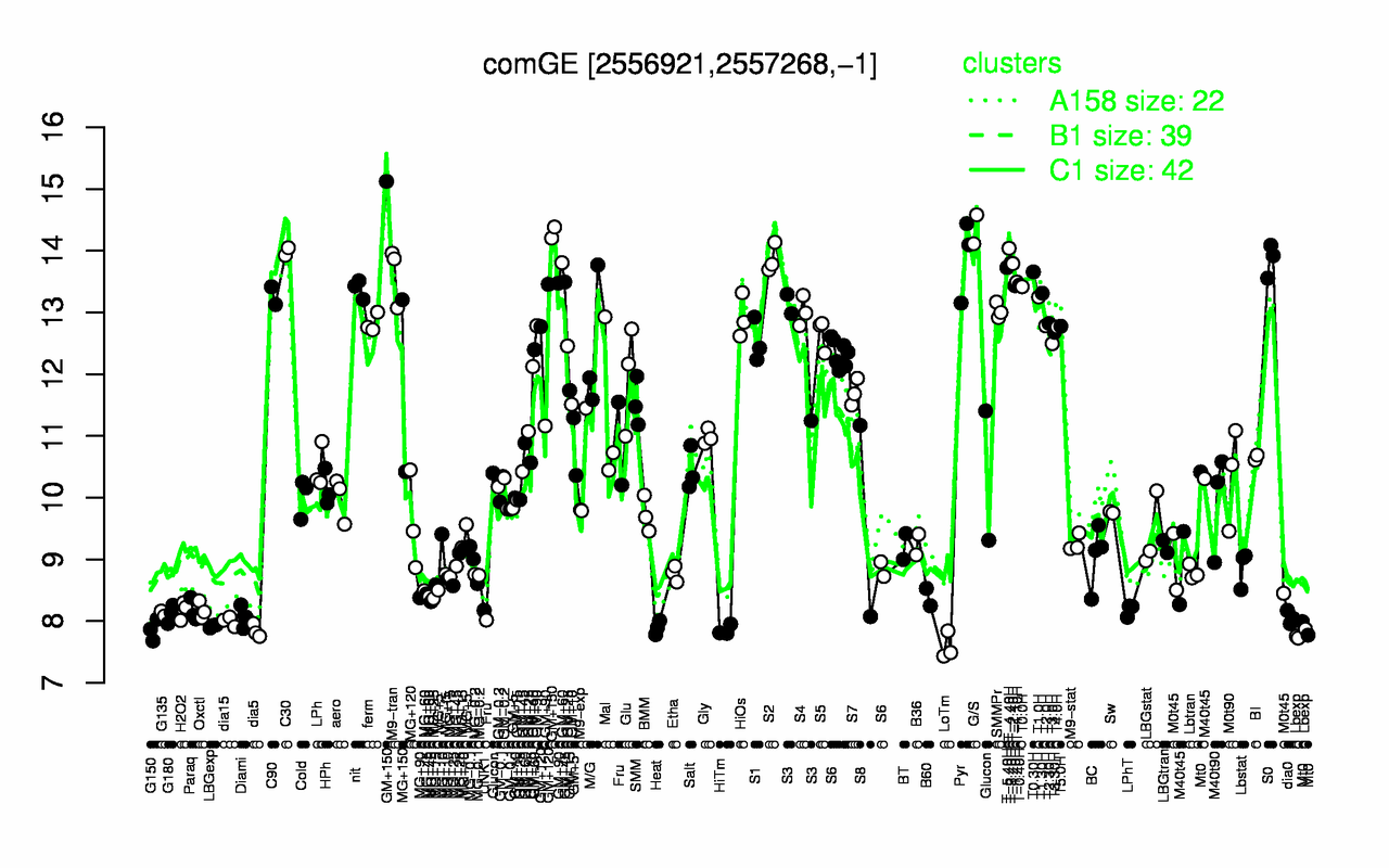 Graph of expression data for this gene.
