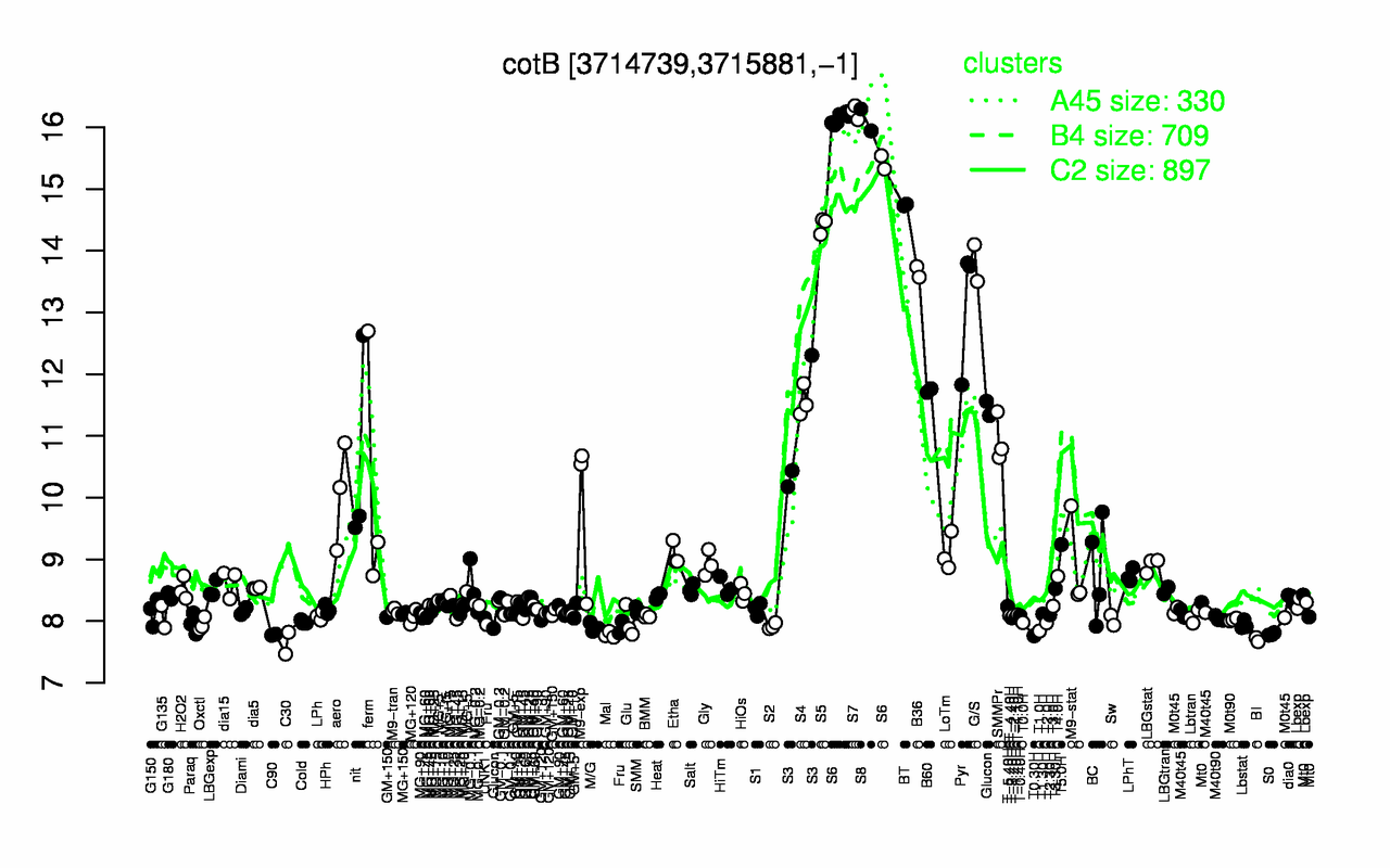 Graph of expression data for this gene.