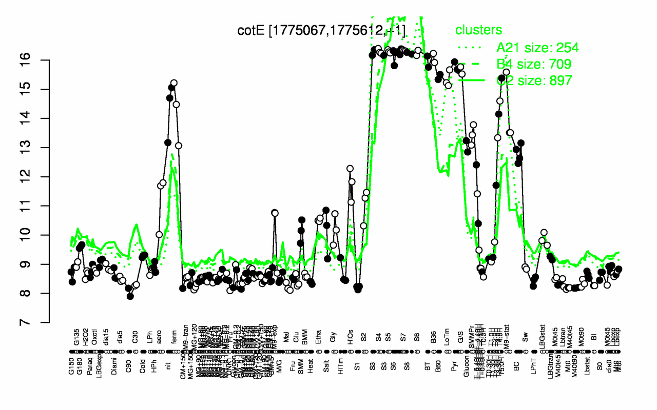 Graph of expression data for this gene.
