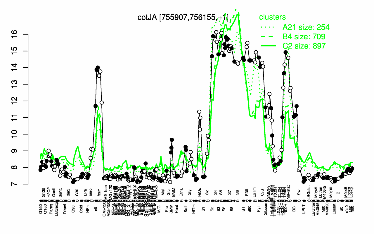 Graph of expression data for this gene.