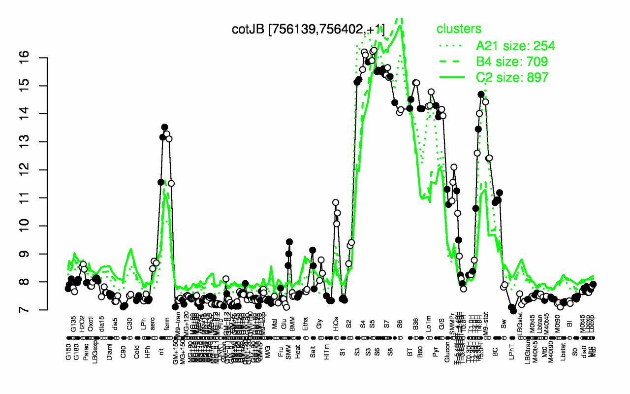 Graph of expression data for this gene.