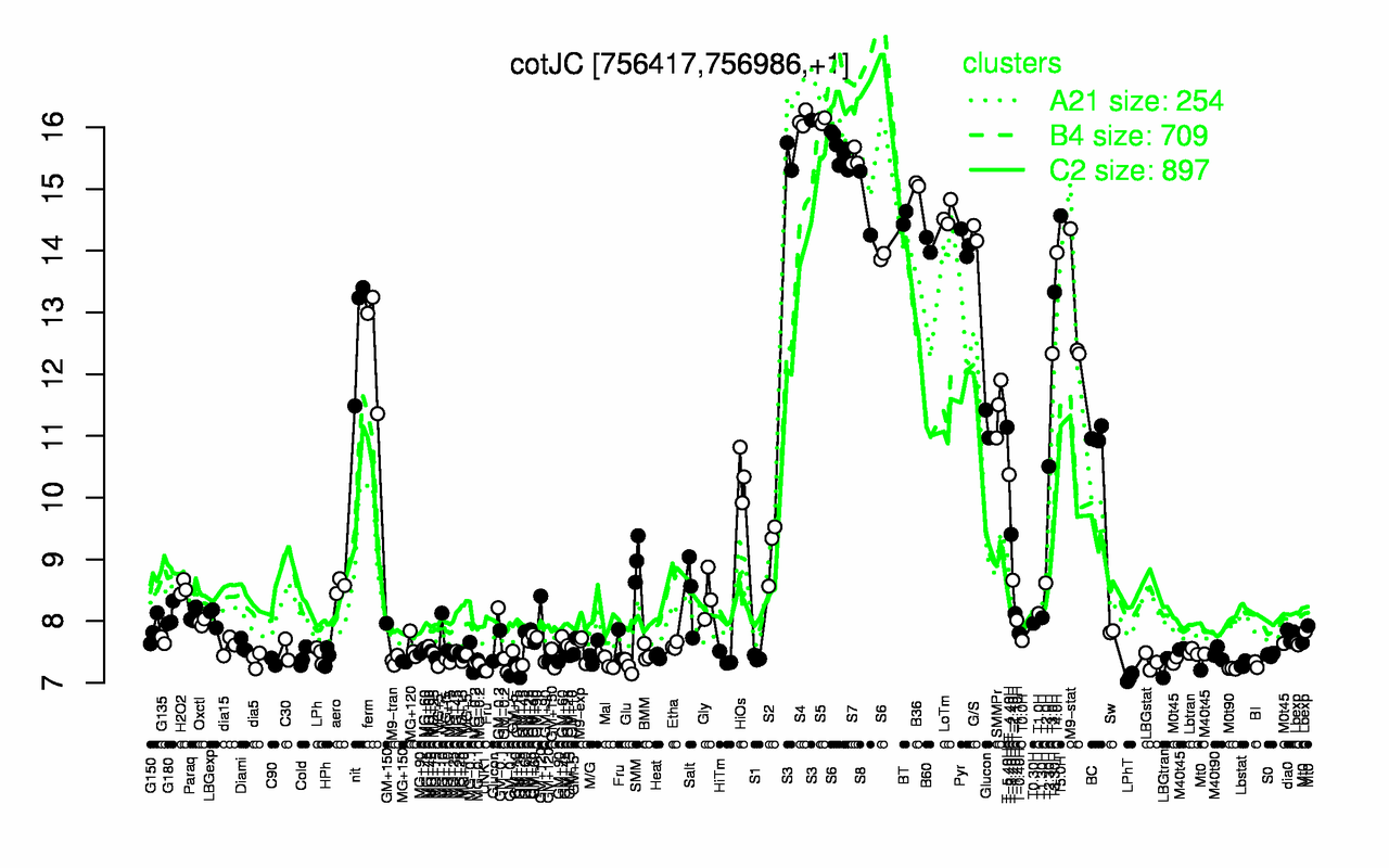 Graph of expression data for this gene.