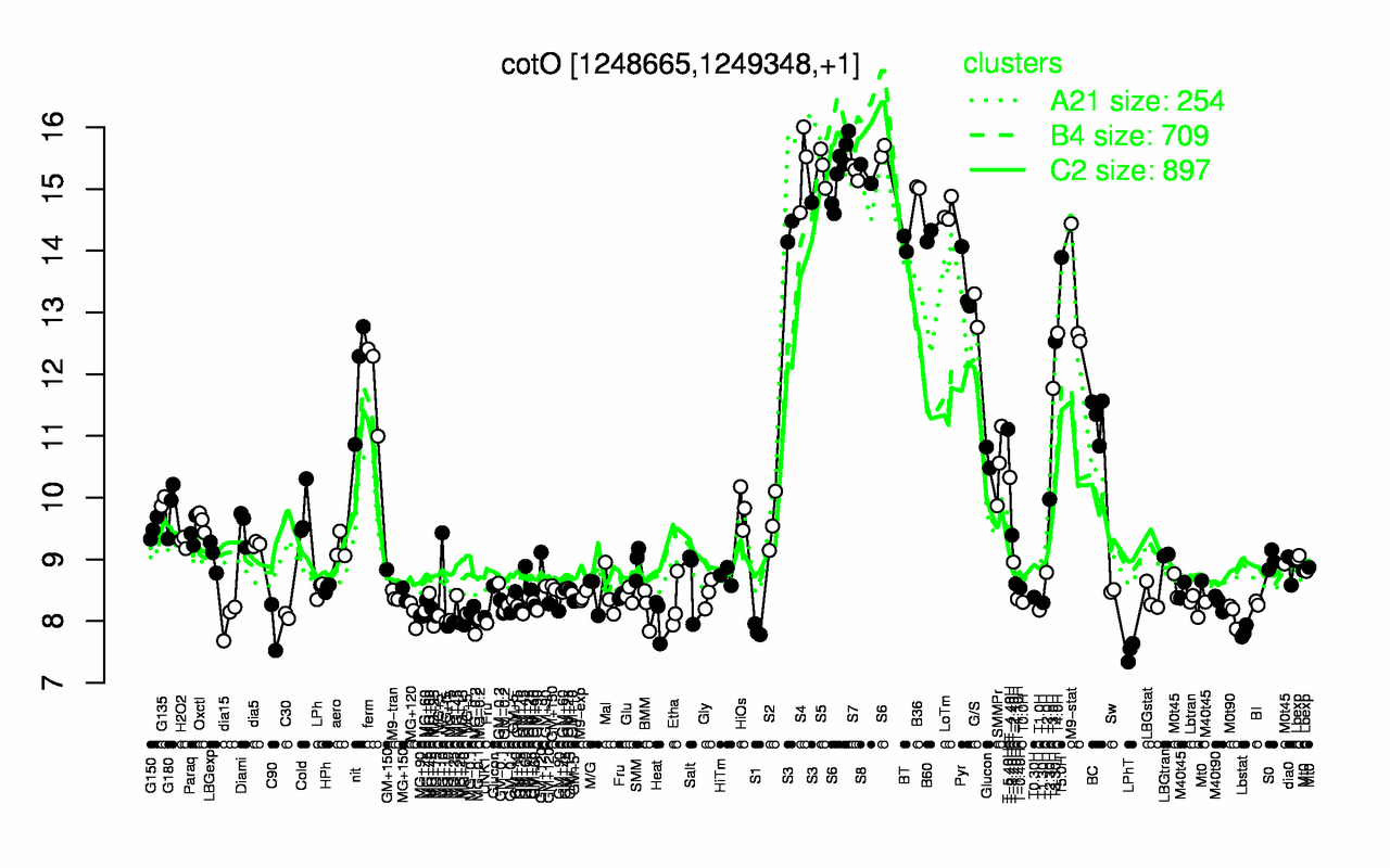 Graph of expression data for this gene.