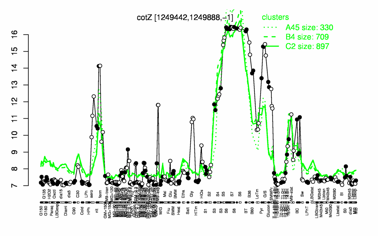 Graph of expression data for this gene.