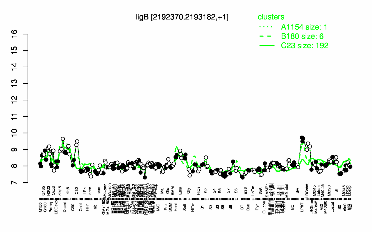 Graph of expression data for this gene.