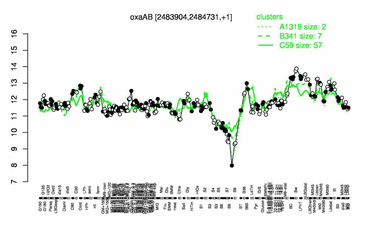 Graph of expression data for this gene.