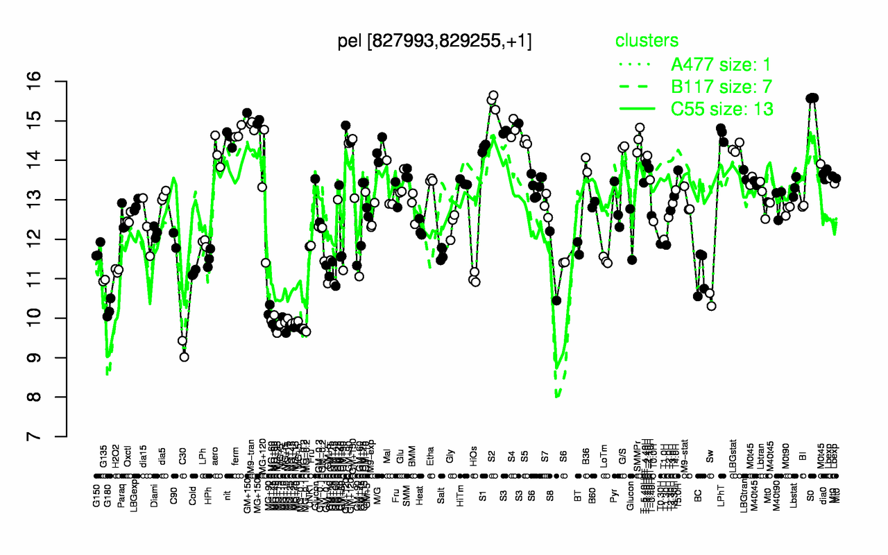 Graph of expression data for this gene.