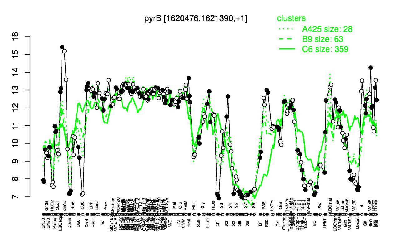 Graph of expression data for this gene.