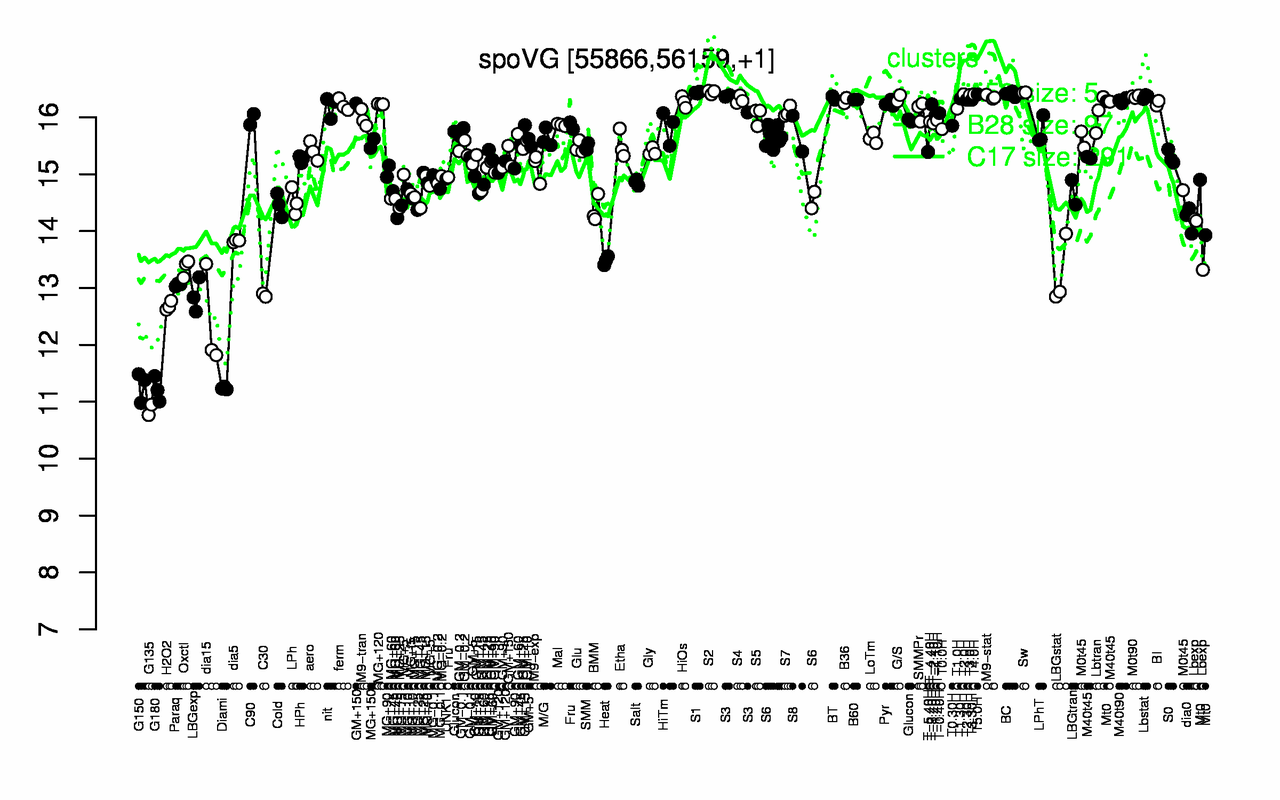 Graph of expression data for this gene.