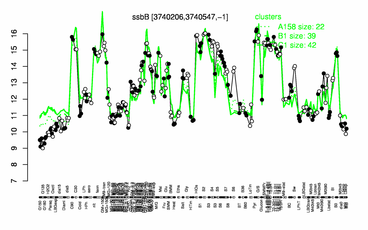Graph of expression data for this gene.