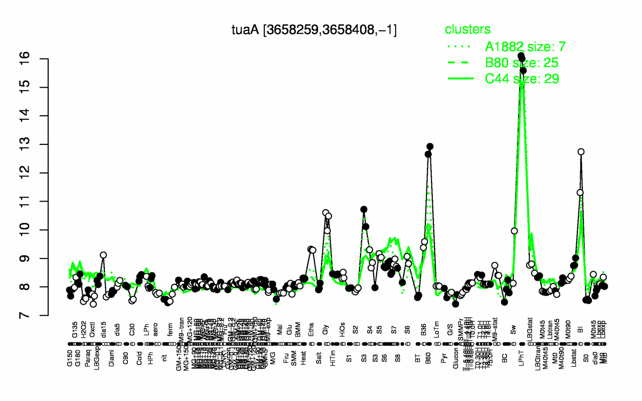 Graph of expression data for this gene.