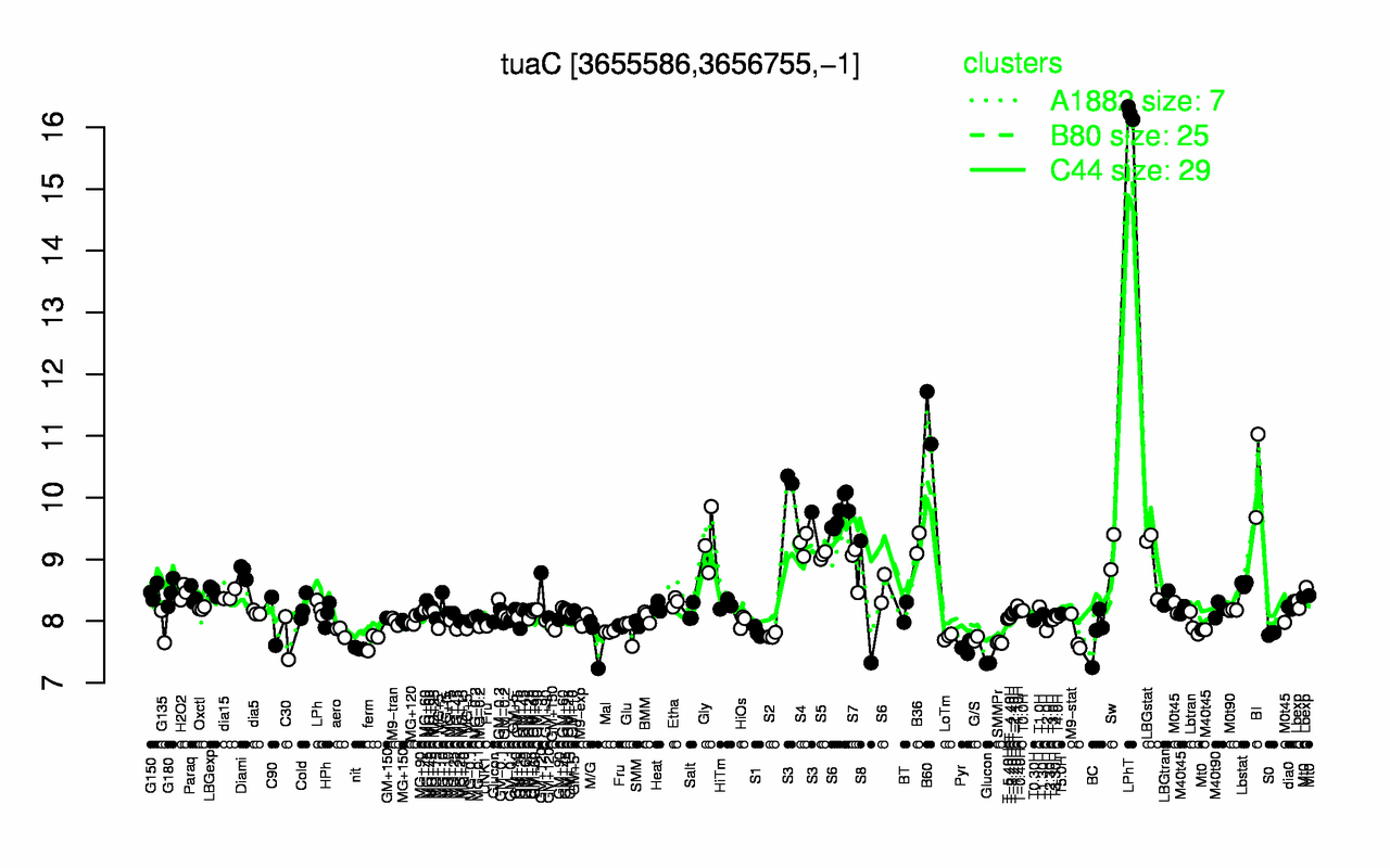 Graph of expression data for this gene.