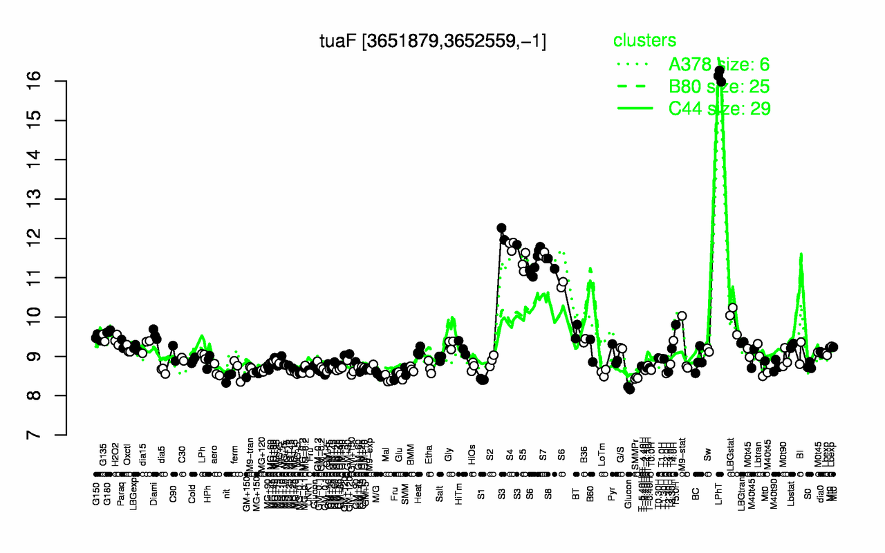 Graph of expression data for this gene.