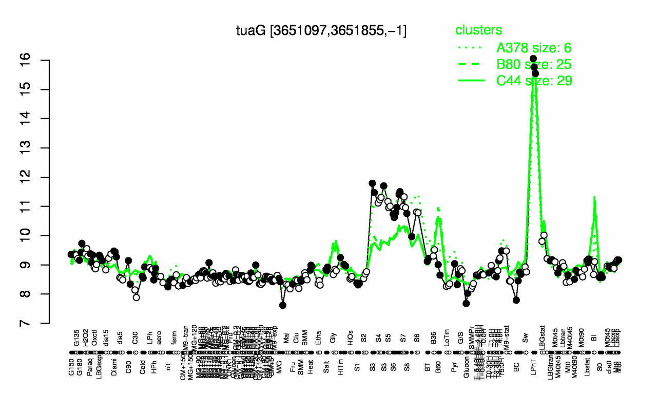 Graph of expression data for this gene.