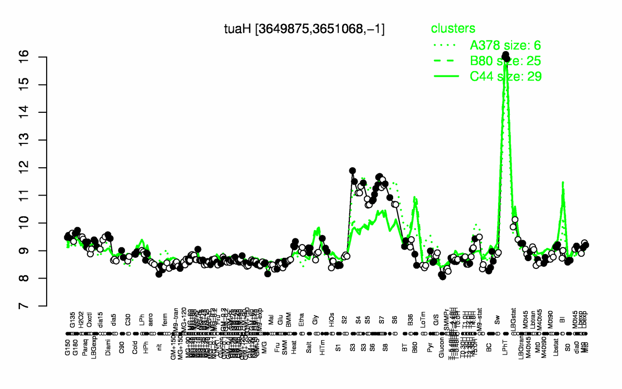 Graph of expression data for this gene.