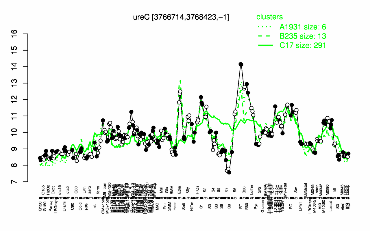 Graph of expression data for this gene.