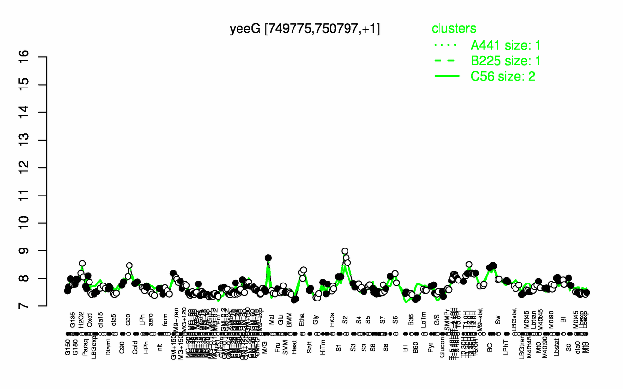 Graph of expression data for this gene.