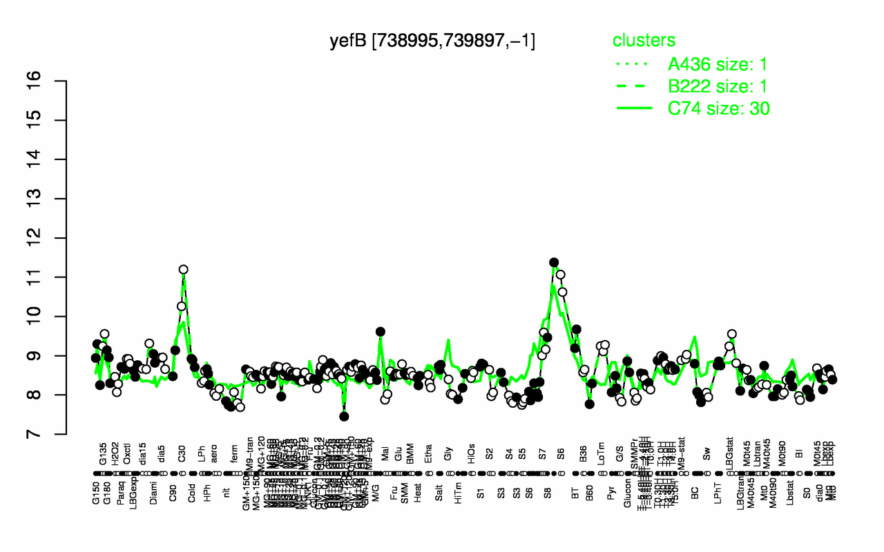 Graph of expression data for this gene.