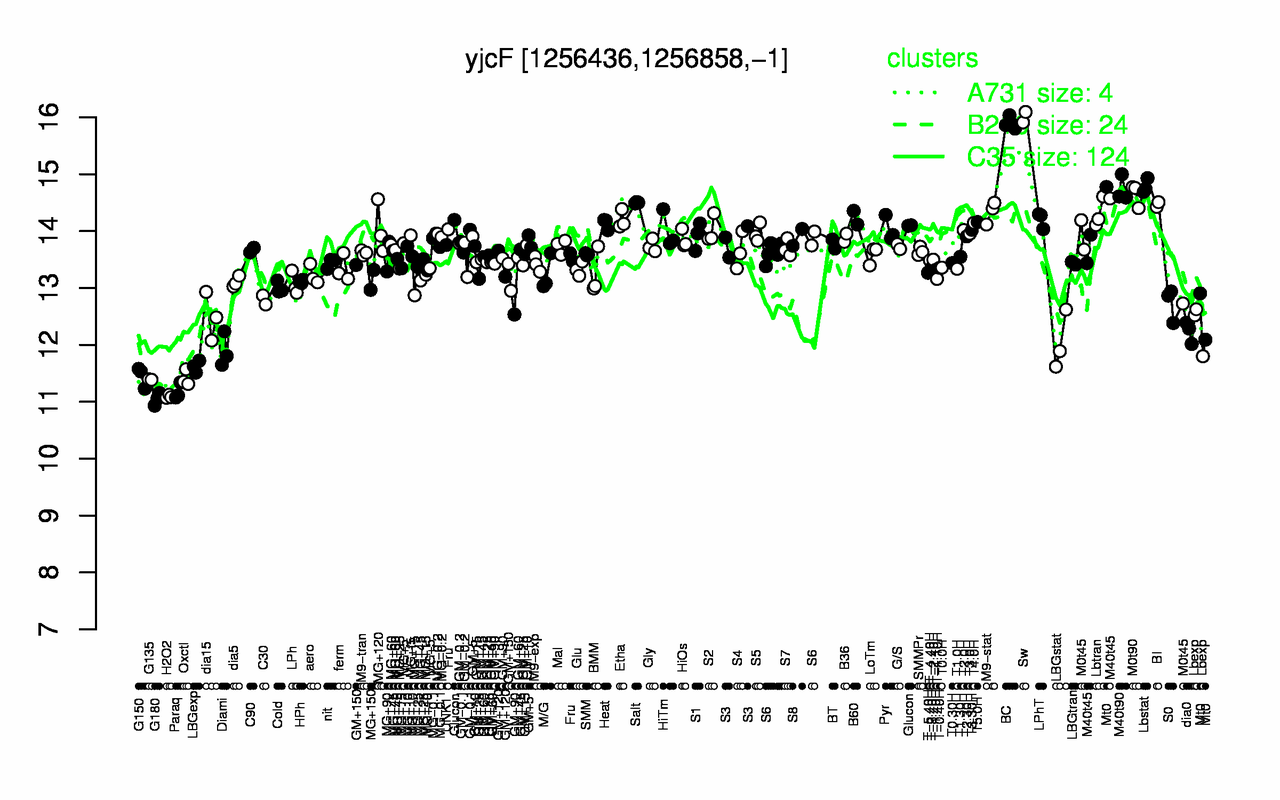 Graph of expression data for this gene.