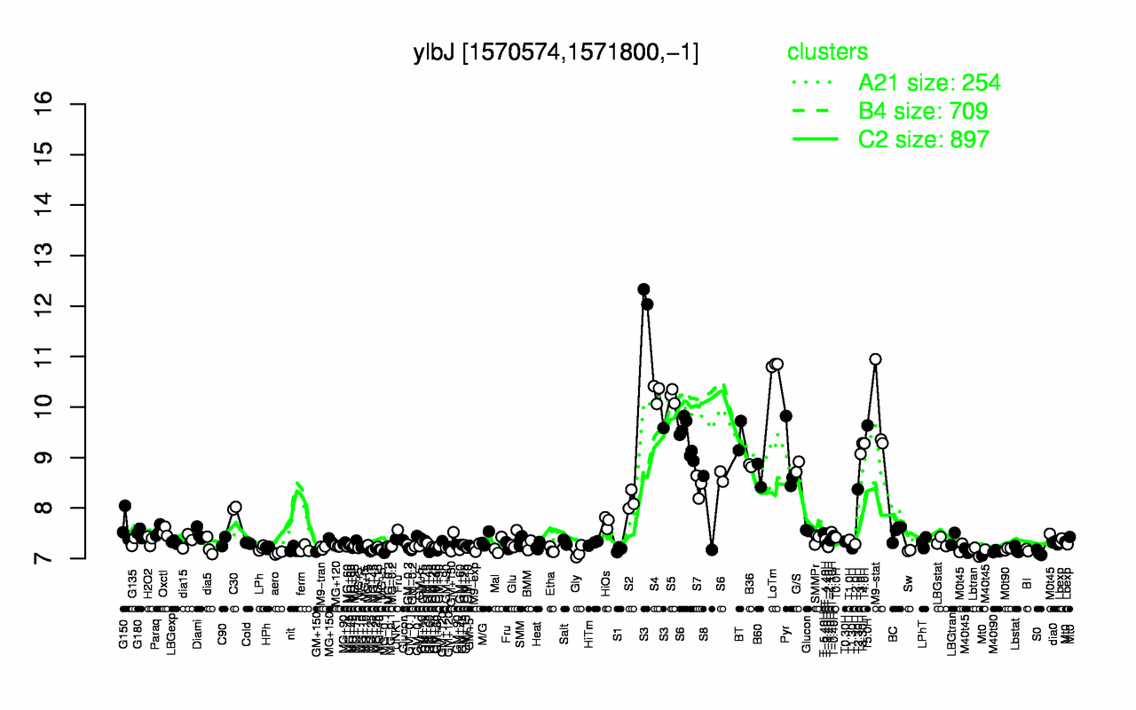 Graph of expression data for this gene.