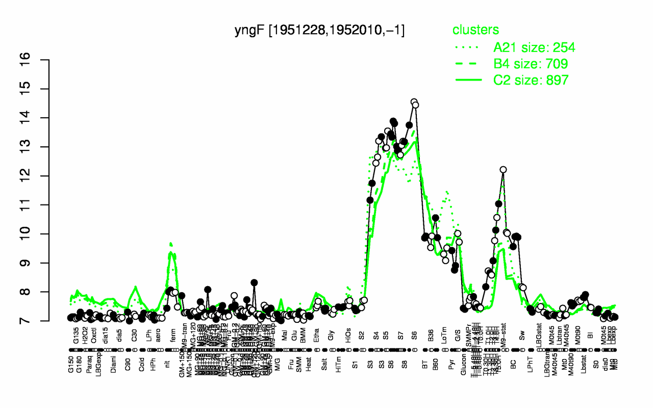 Graph of expression data for this gene.
