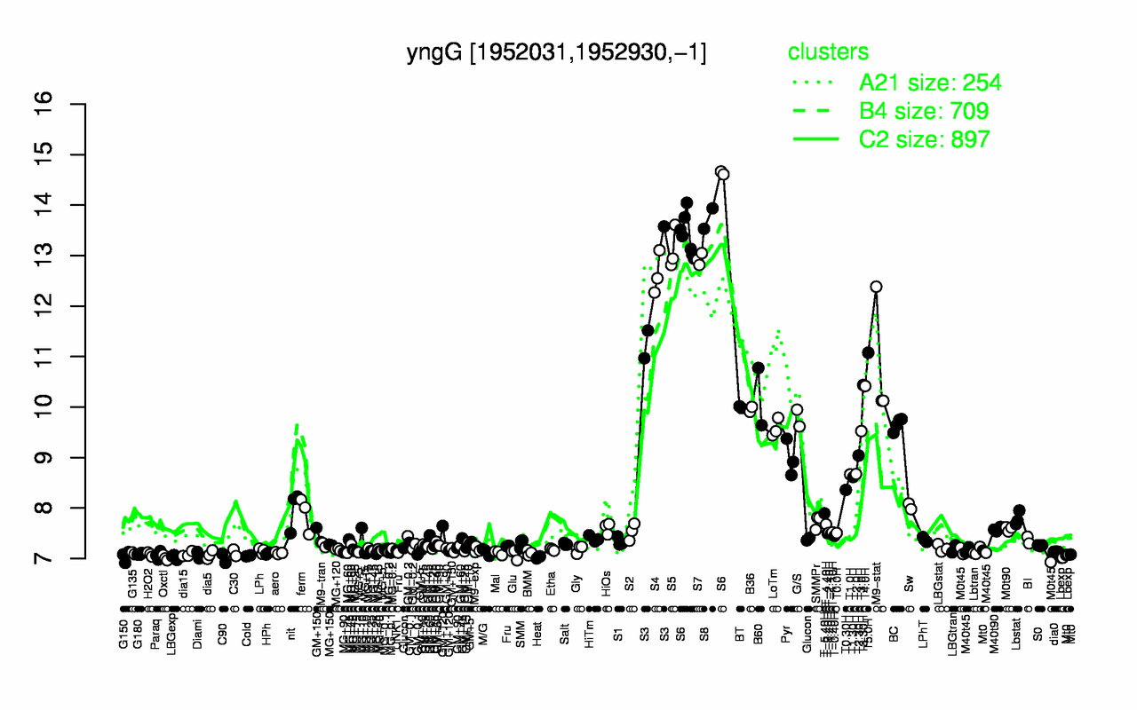 Graph of expression data for this gene.