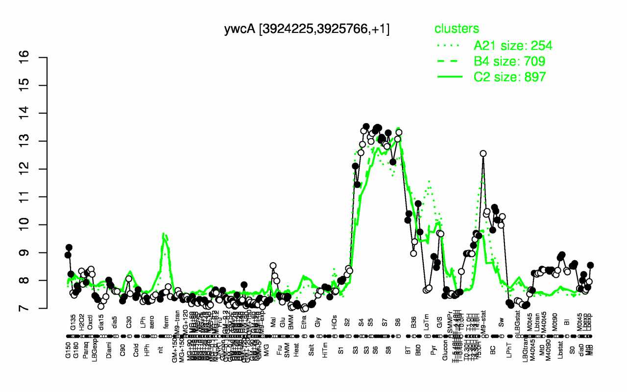 Graph of expression data for this gene.