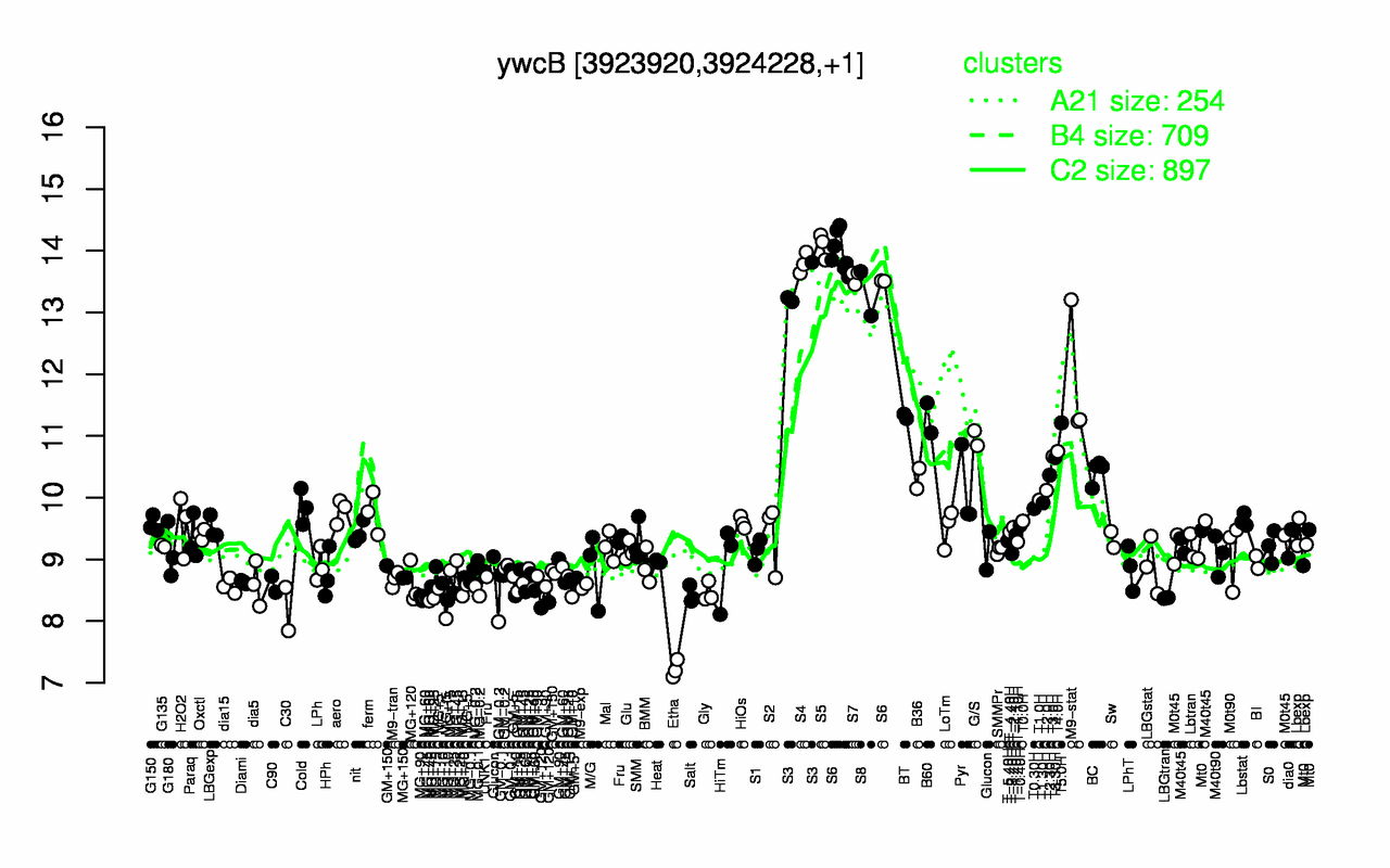 Graph of expression data for this gene.