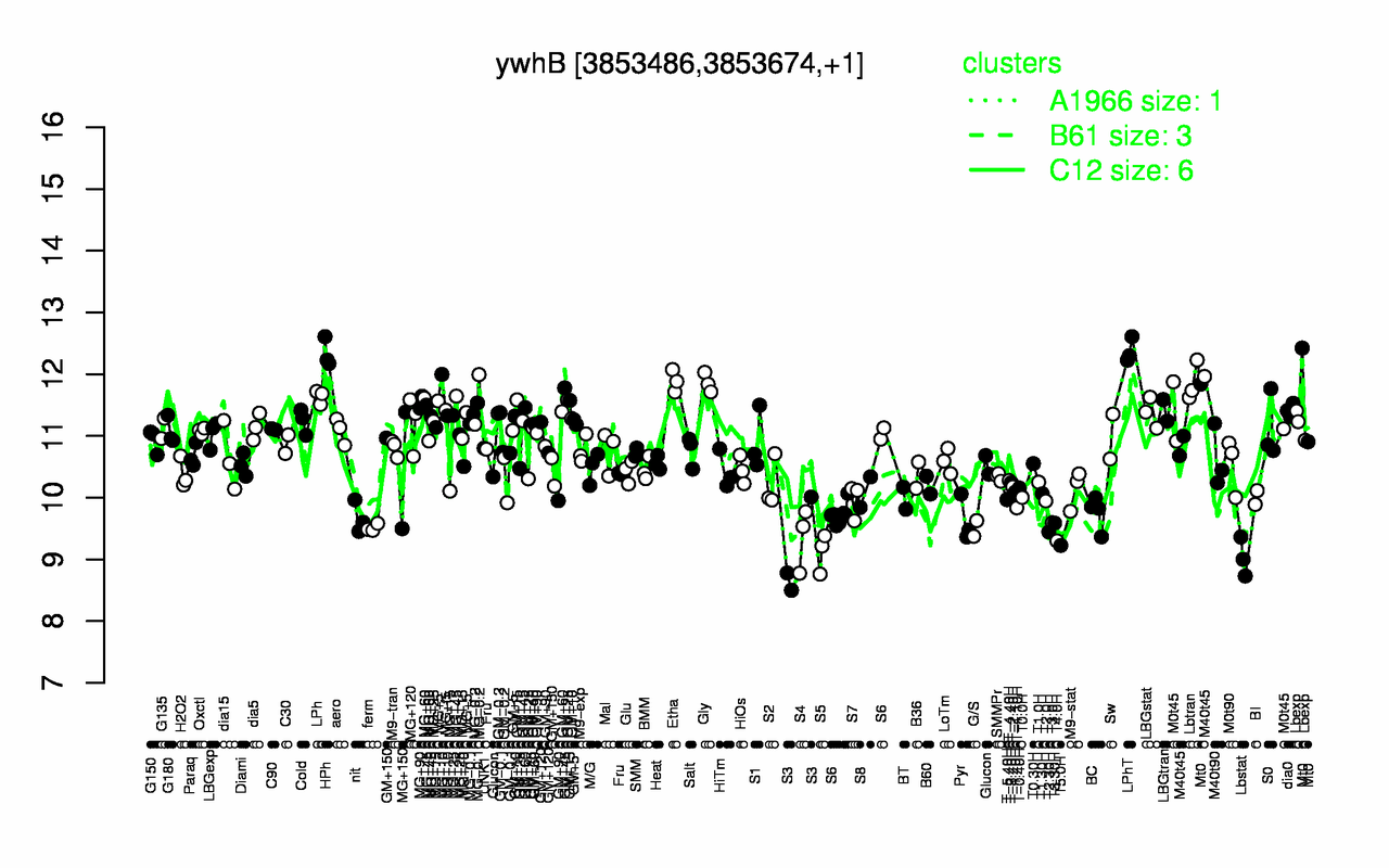 Graph of expression data for this gene.