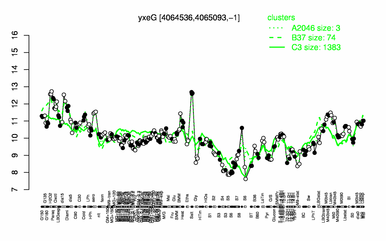 Graph of expression data for this gene.