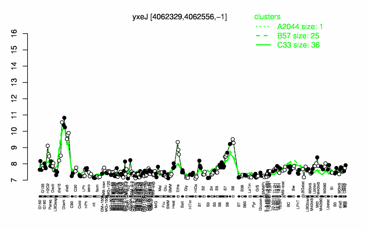 Graph of expression data for this gene.