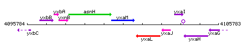YxaM context.gif
