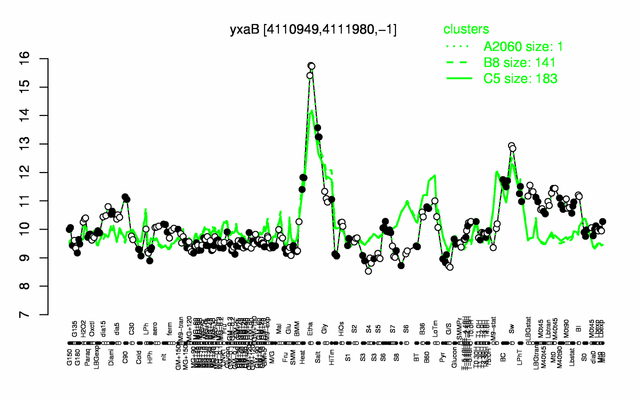 File:YxaB expression.png