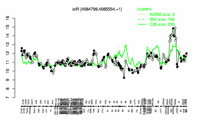 File:IolR expression.png