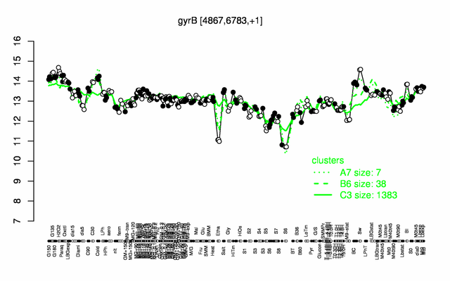 GyrB expression.png