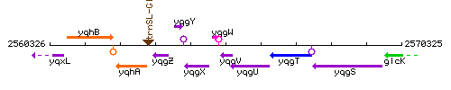 YqgV context.gif