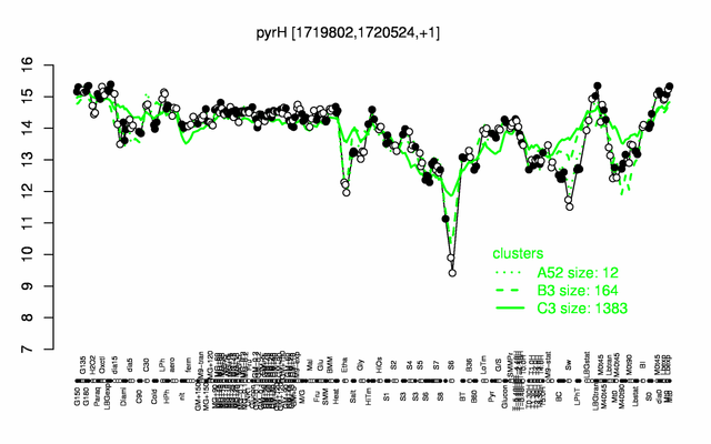PyrH expression.png
