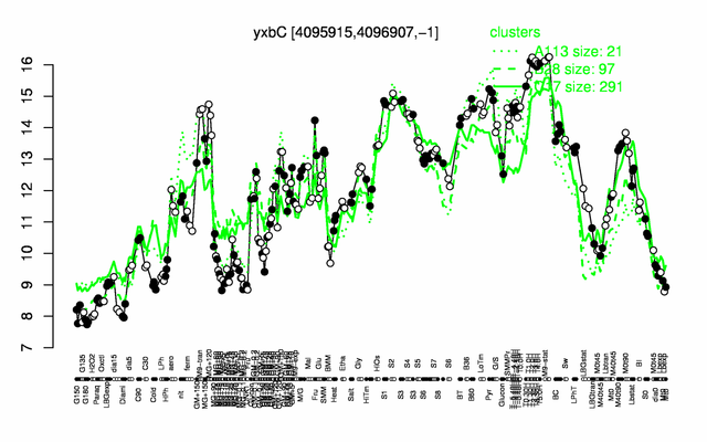File:YxbC expression.png